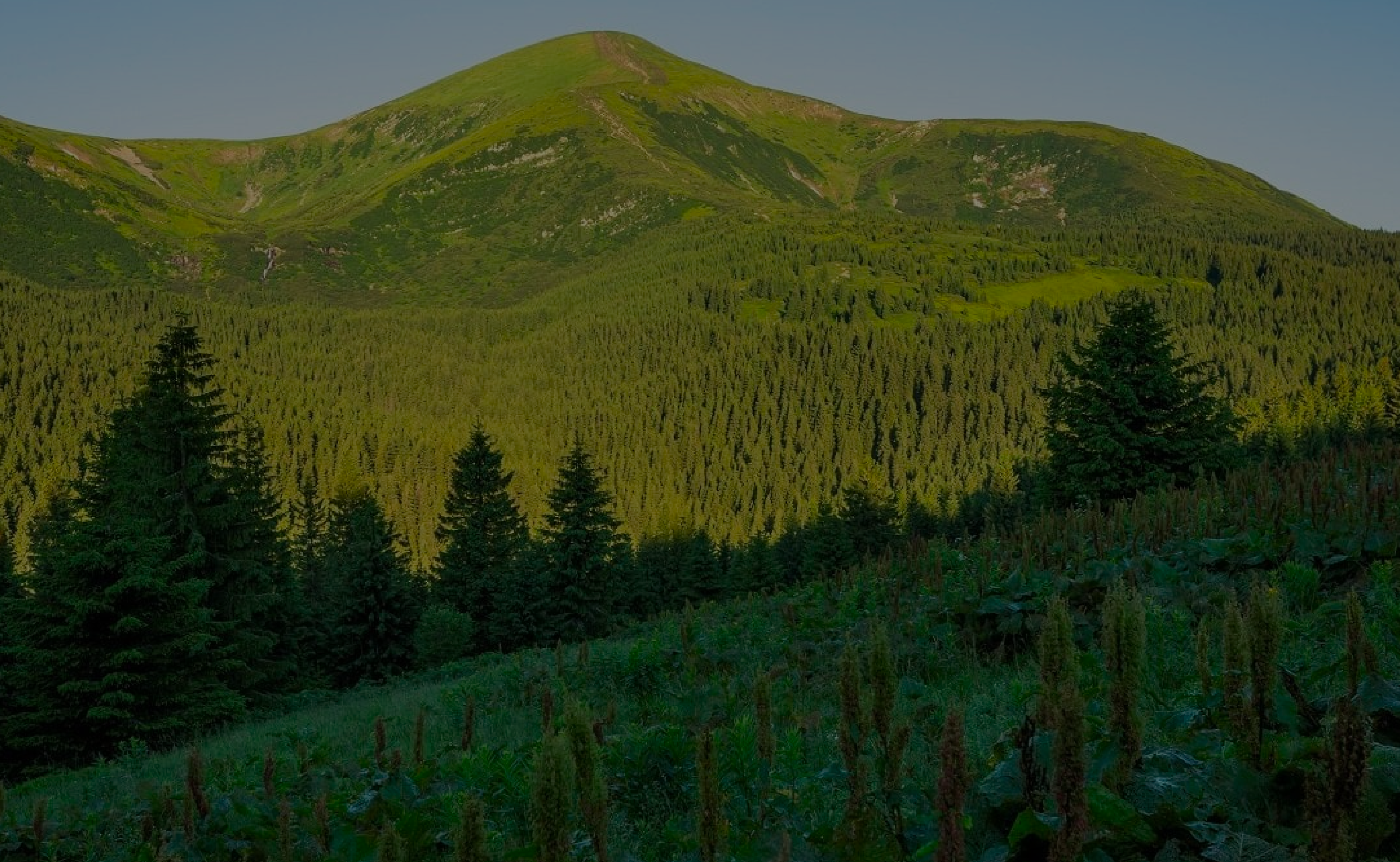 Чисте майбутнє починається з нас Чисте майбутнє починається з нас